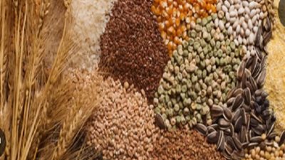 بعد موجة الغلاء.. تعرف على أسعار المحاصيل الزراعية عالميًا