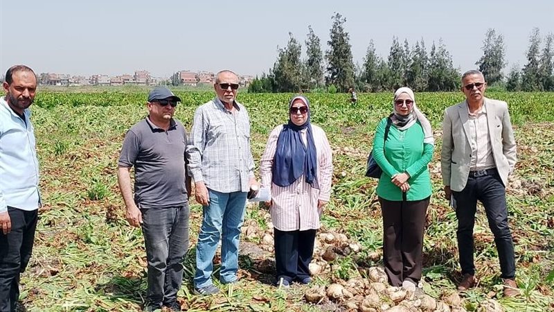 مديرية الزراعة بالدقهلية