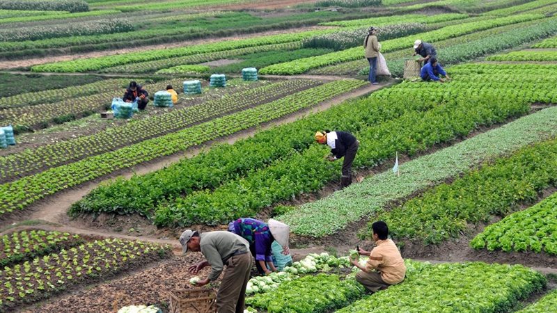 التنمية المستدامة