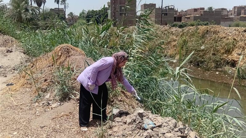 حملة مكافحة القوارض