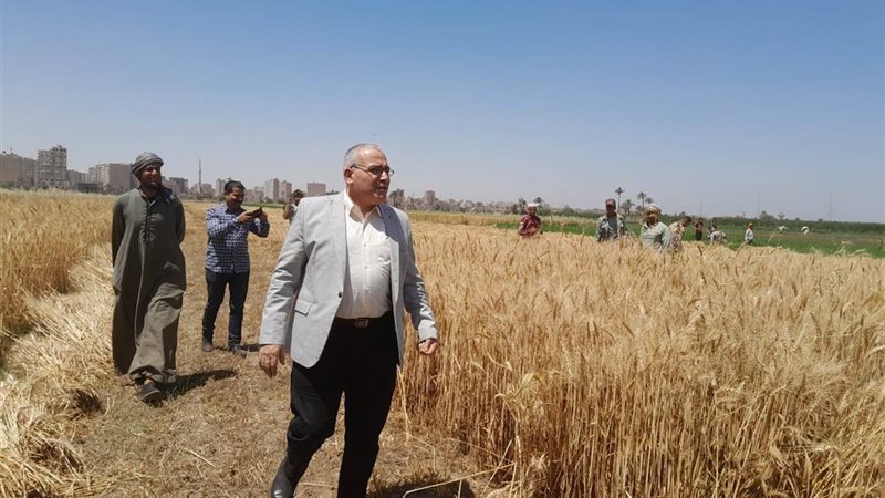 زراعة سوهاج