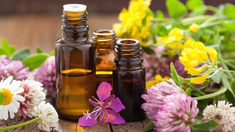 زراعة النباتات الطبية