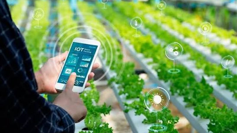توطين تكنولوجيا إنتاج
