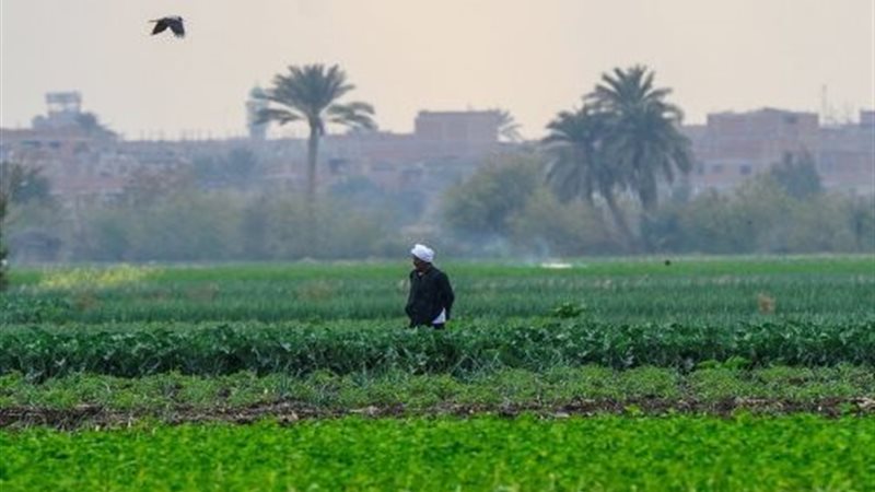طقس الربيع 