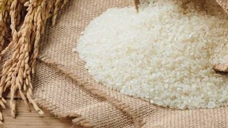 سعر الأرز
