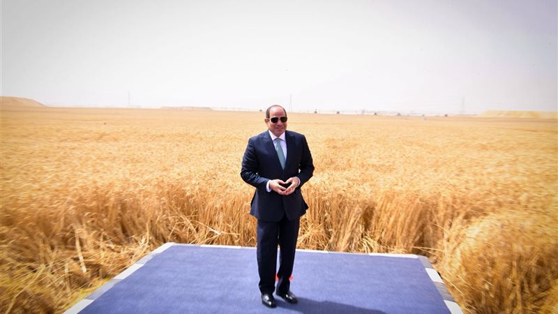 مشروع الدلتا الجديدة