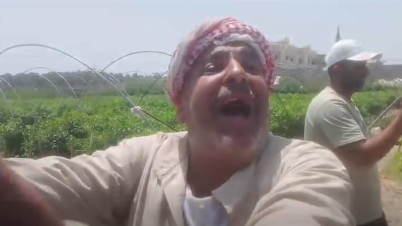 شكاوى مزارعي البطيخ