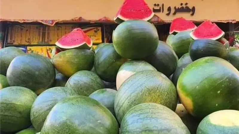 بطيخ