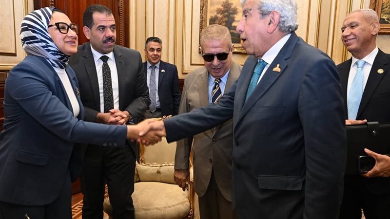 محافظ الوادي الجديد