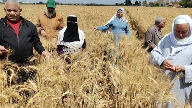 جهود استصلاح الأراضي
