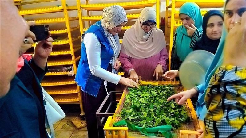 تأهيل ٢٥ سيدة لإدارة