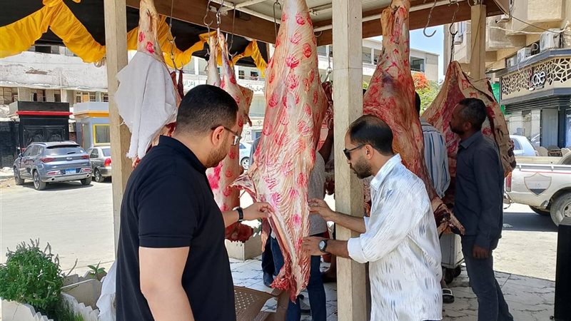 اللحوم 