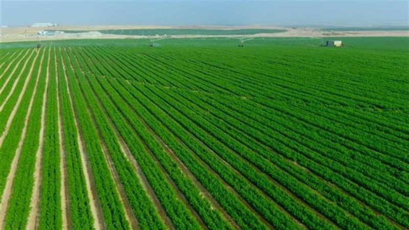 طفرة تنموية في سيناء