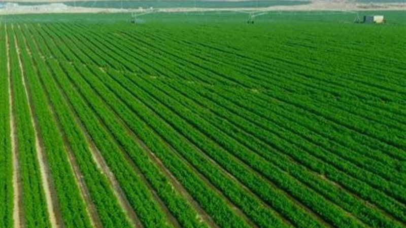 طفرة تنموية في سيناء