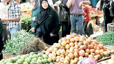 مخاوف من «قفزة» في أسعار الغذاء بمصر تأثراً بارتفاع تكاليف المدخلات الزراعية والطاقة