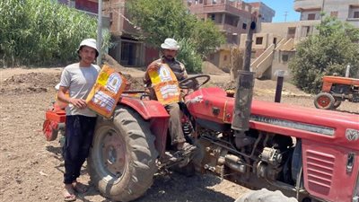 الإرشاد الزراعي بمنوف يختتم زراعة الحقول الإرشادية للذرة الشامية لرفع الإنتاجية ودعم المزارعين