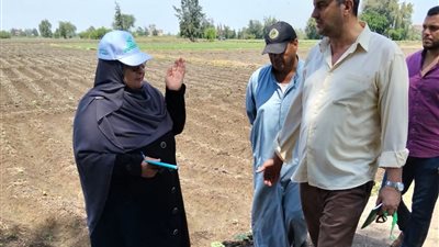 تكثيف الحملات الرقابية بمركز بلطيم لحماية الرقعة الزراعية