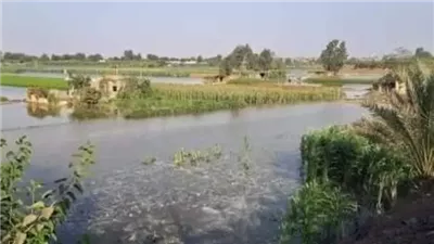 محافظة قنا تحذر سكان طرح النهر من ارتفاع منسوب مياه النيل.. تفاصيل