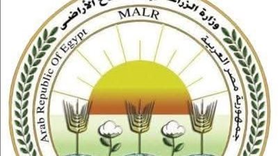 تعزيز الاستثمار وصرف 4 ملايين شيكارة أسمدة مدعمة ودعم الابتكار الزراعي... نشاط وزارة الزراعة