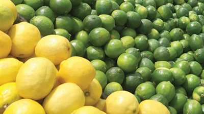 الليمون يولع الأسواق.. يصل إلى 70 جنيهًا للكيلو وارتفاع جديد يهز الأسعار