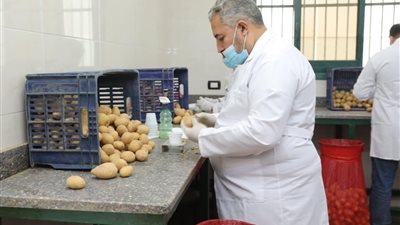 970 ألف طن صادرات مفحوصة ورفع كفاءة نظم المتابعة بالأقمار الصناعية
