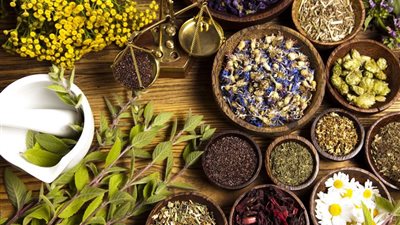 عرش الذهب الأخضر.. المنيا تستحوذ على ثلث إنتاج مصر من النباتات الطبية والبابونج يغزو الأسواق العالمية
