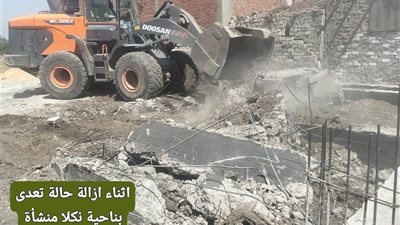 الزراعة بالجيزة تواصل إزالة التعديات.. تنفيذ 3 حالات إزالة بمنشأة القناطر