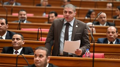طلب إحاطة بشأن تعثر مشروع الصرف الصحي بالواحات البحرية لأكثر من 10 سنوات