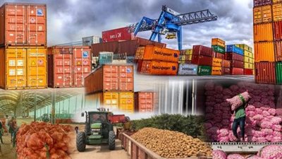 438 مليون دولار صادرات غذائية مصرية لأمريكا في 2025.. والمجلس التصديري يكشف فرصًا ضخمة للنمو