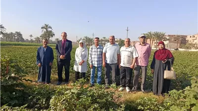 زراعة الفيوم تطلق طفيل «التريكوجراما» لخفض تكاليف الإنتاج ومكافحة الآفات