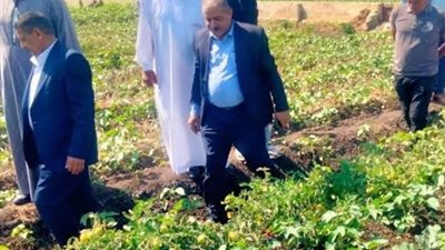 جولات ميدانية للإصلاح الزراعي بكفر الشيخ لمتابعة المحاصيل الصيفية وحسم ملفات الأسمدة والعقود