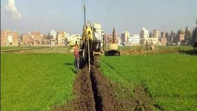 ليه أرضك بتعطش رغم الري؟ مشاكل الصرف الخفي وتأثيرها على المحاصيل