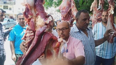 بيطري المنيا: ضبط ومصادرة أكثر من نصف طن لحوم غير صالحة ومذبوحة خارج المجازر