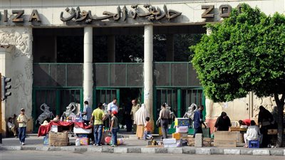 بعد 3 سنوات من التطوير.. حديقة حيوان الجيزة تستعد لعودة تاريخية بمعايير عالمية ومعالمها التراثية الخالدة