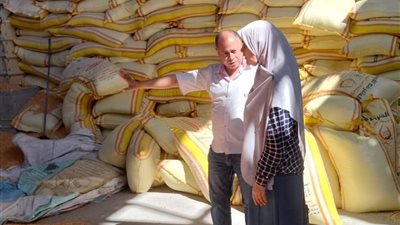 زراعة كفر الشيخ تكثف المتابعة الميدانية لدعم الاستثمار الحيواني وتسهيل تراخيص مصانع الأعلاف