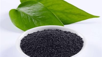 الهوميك ليس سمادًا.. مركز المناخ يحذر من الاعتماد عليه كبديل للتسميد