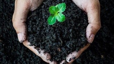 الزراعة: استخدام الهيوميك بدل الأسمدة غير صحيح علميًا