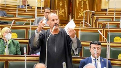برلماني: تراجع أسعار البيض ل 60 و80 جنيها أمر إيجابي يصب في مصلحة المواطن الغلبان