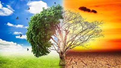 علماء: فصل سياسات المناخ والطبيعة يقود إلى إخفاقات بيئية مكلفة