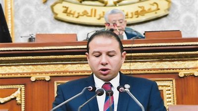 الغش الغذائي يهدد الأمن القومي.. برلماني يطالب بعقوبات رادعة ورقمنة تتبع السلع من الإنتاج للمستهلك 