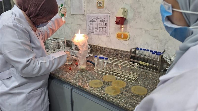 بحوث الصحة الحيوانية
