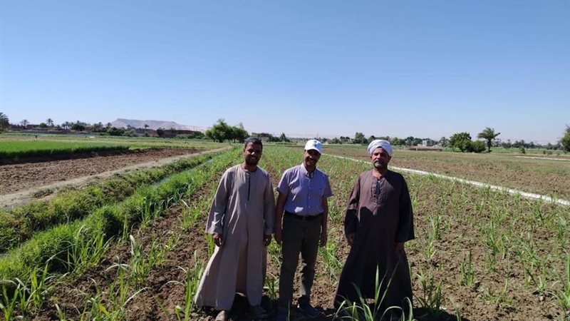 خدمات ودعم المزارعين