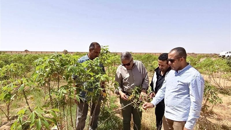 دعم التنمية الزراعية
