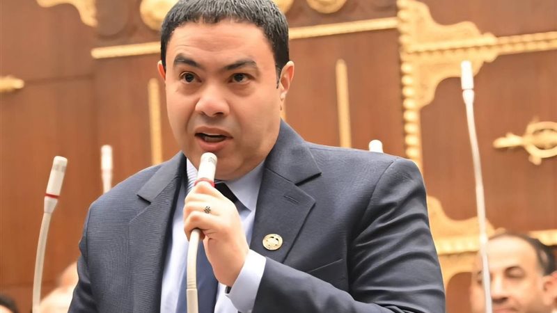 النائب إسماعيل الشرقاوي