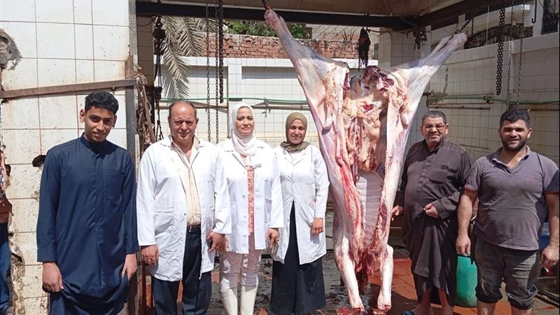 المجازر الحكومية