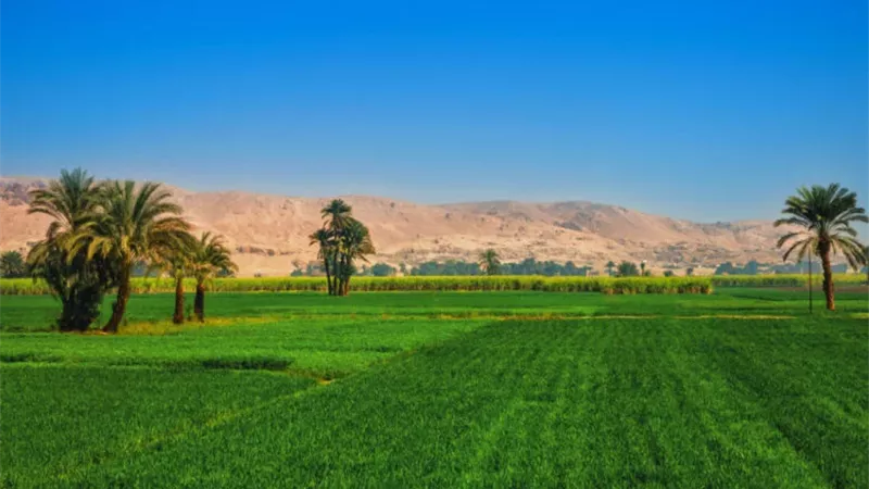 ضريبة الأطيان