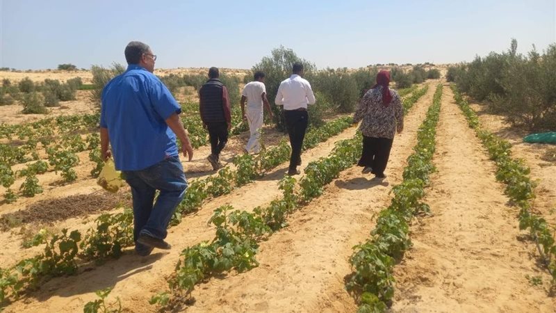 بحوث الصحراء تنشر