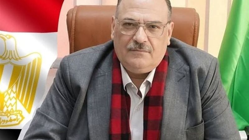 محمد عزت عجور، وكيل