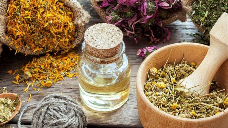 نباتات طبية وعطرية