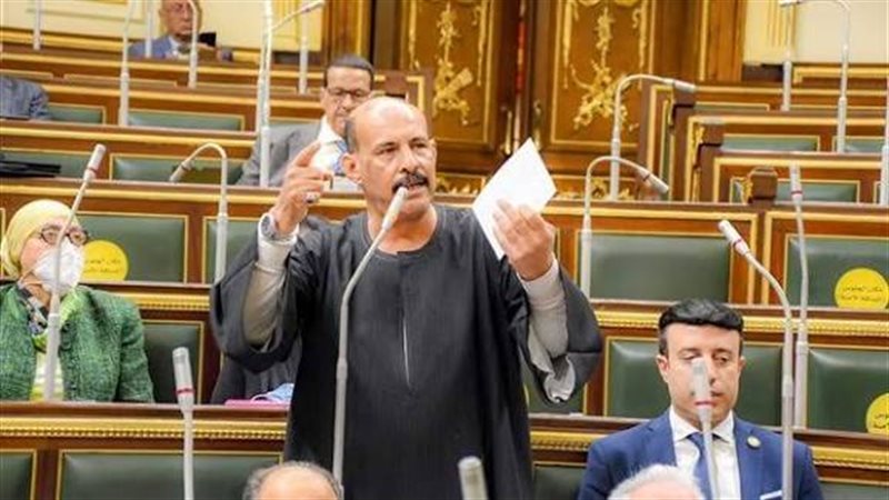 النائب فتحي قنديل